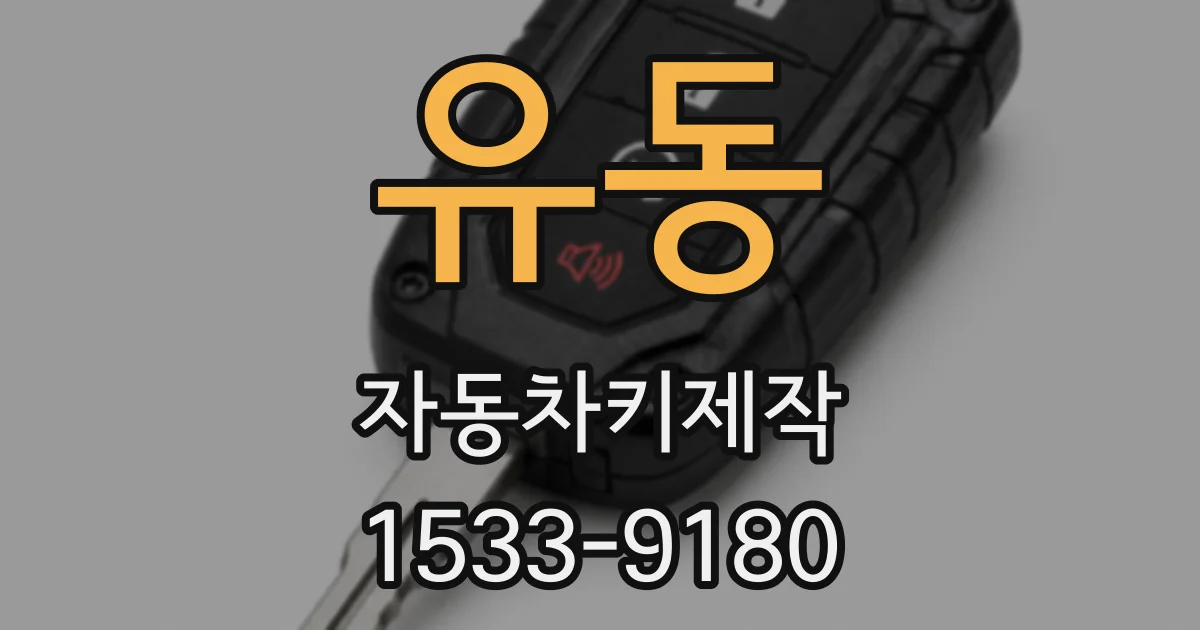 유동 자동차키제작