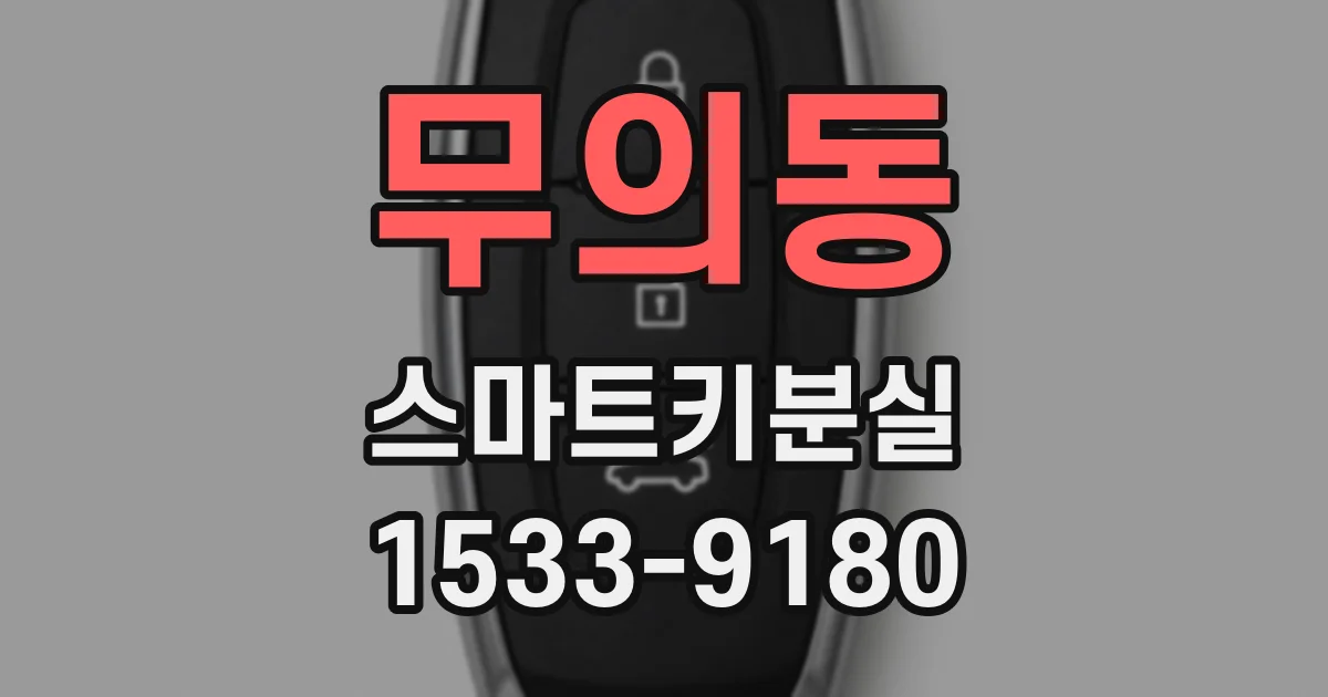 무의동 스마트키분실