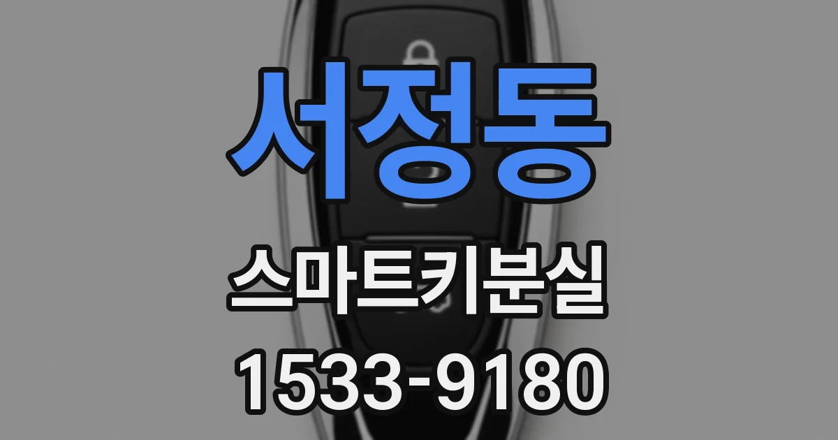 서정동 스마트키분실