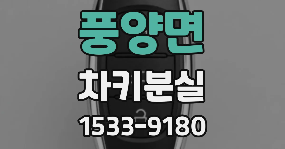 풍양면 차키분실