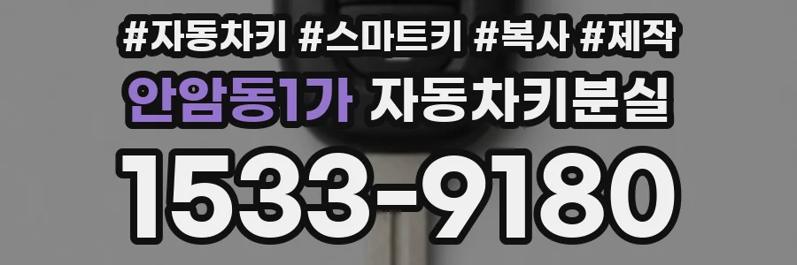 안암동1가 자동차키분실