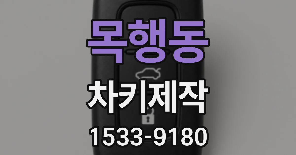 목행동 차키제작