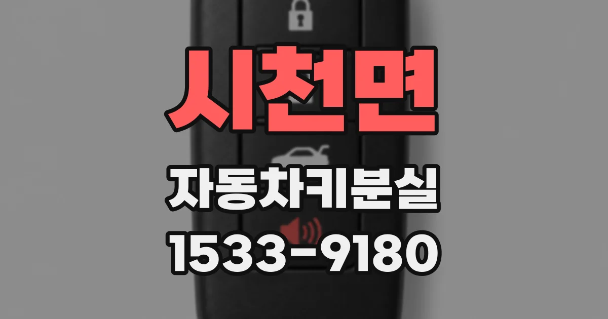 시천면 자동차키분실