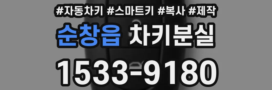 순창읍 차키분실