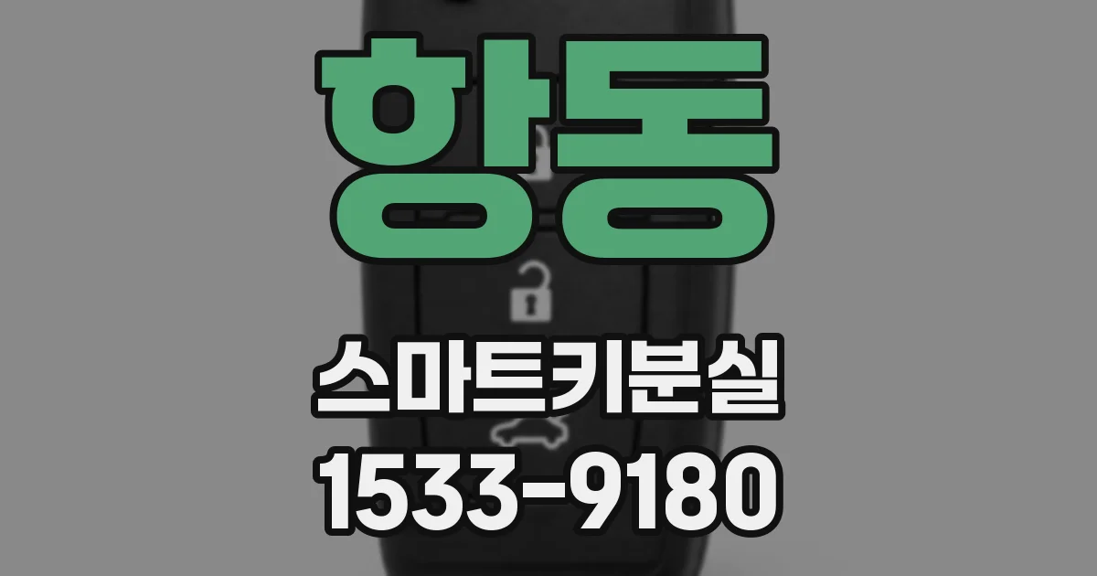 항동 스마트키분실