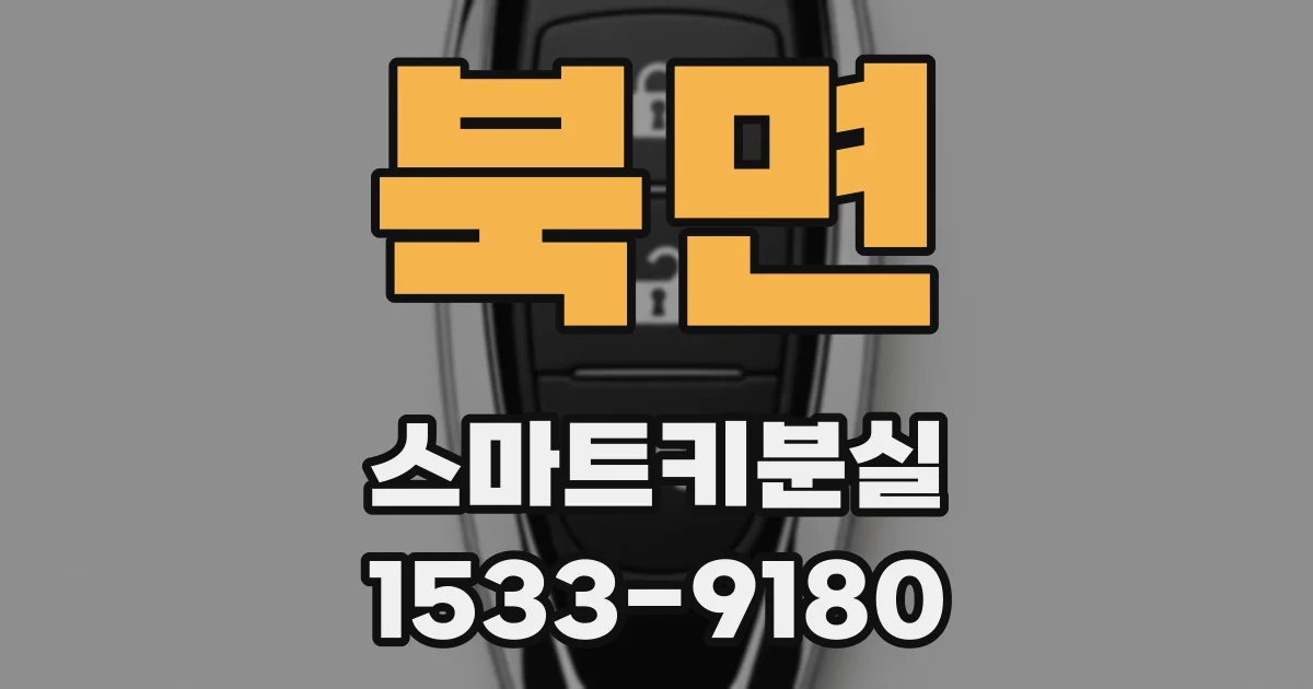 북면 스마트키분실