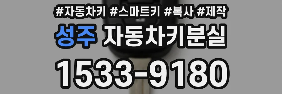성주 자동차키분실