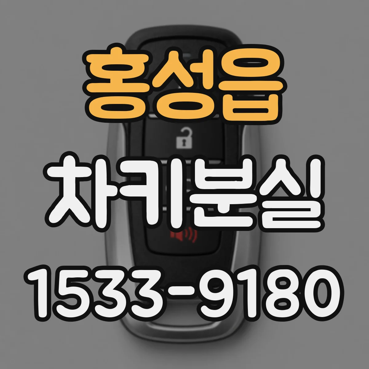 홍성읍 차키분실