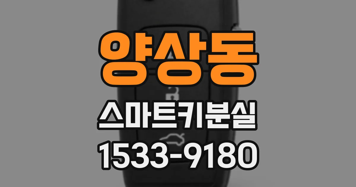 양상동 스마트키분실