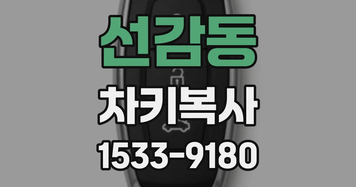 선감동 차키복사
