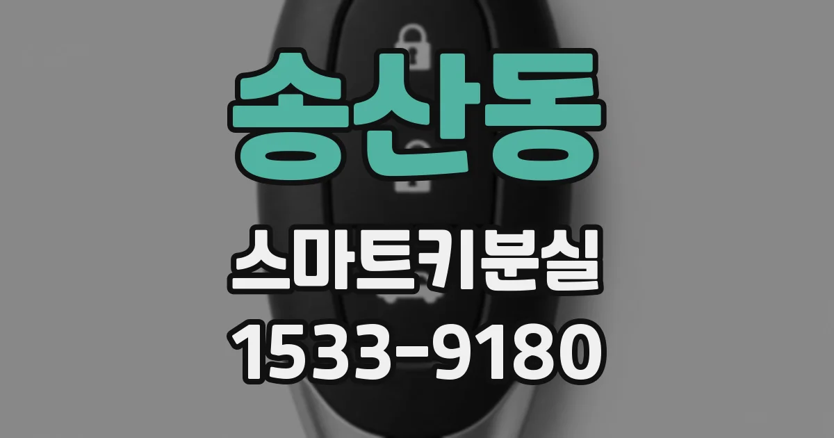 송산동 스마트키분실