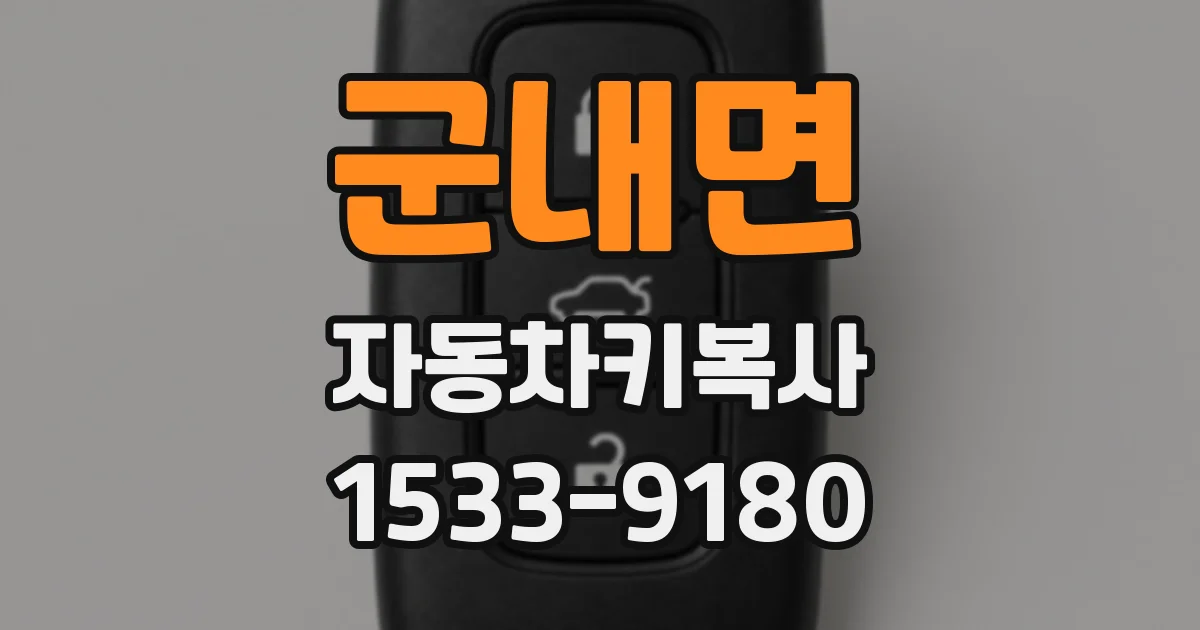 군내면 자동차키복사