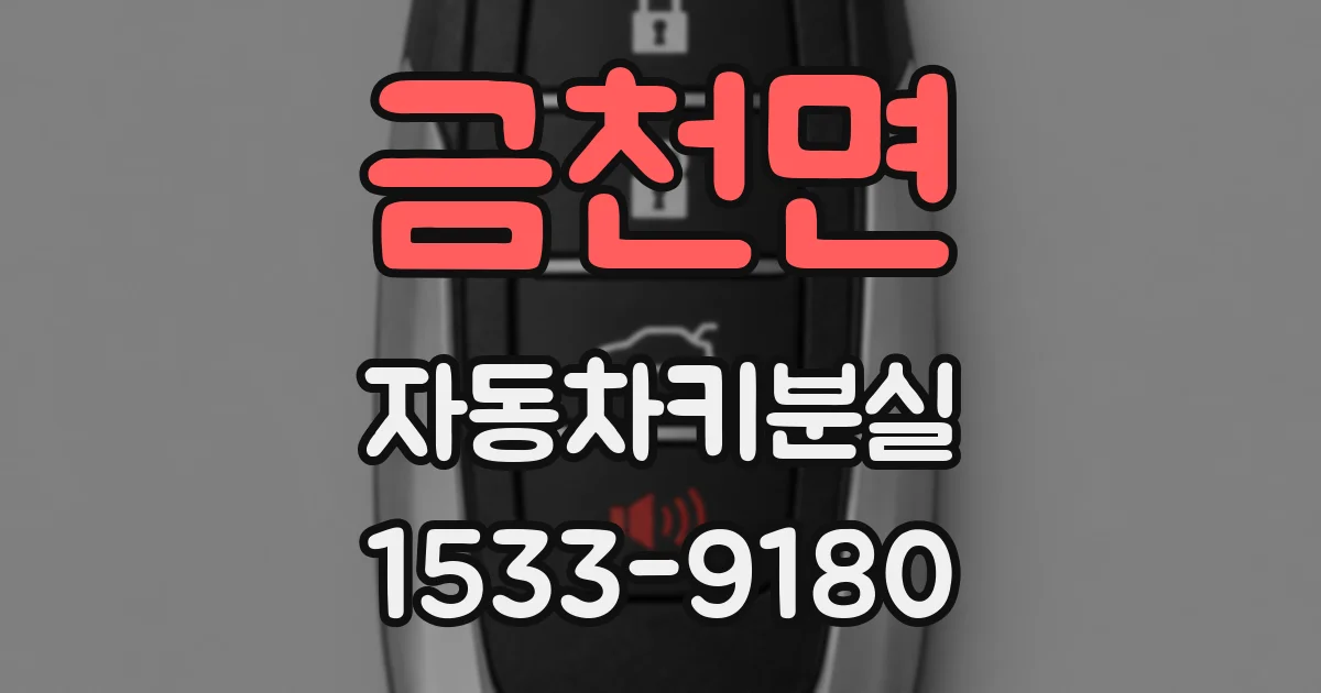 금천면 자동차키분실