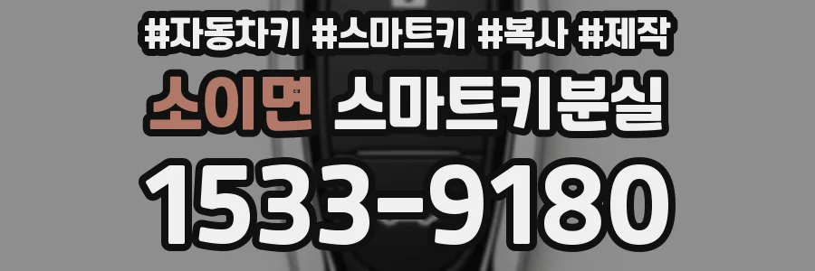 소이면 스마트키분실