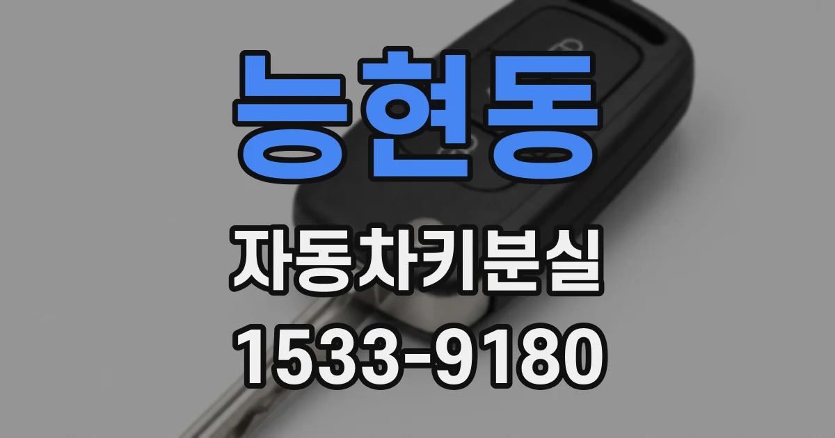 능현동 자동차키분실