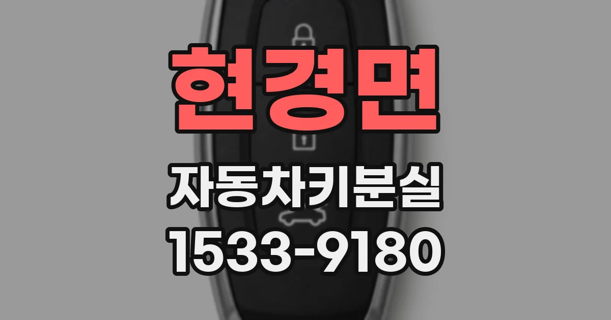 현경면 자동차키분실