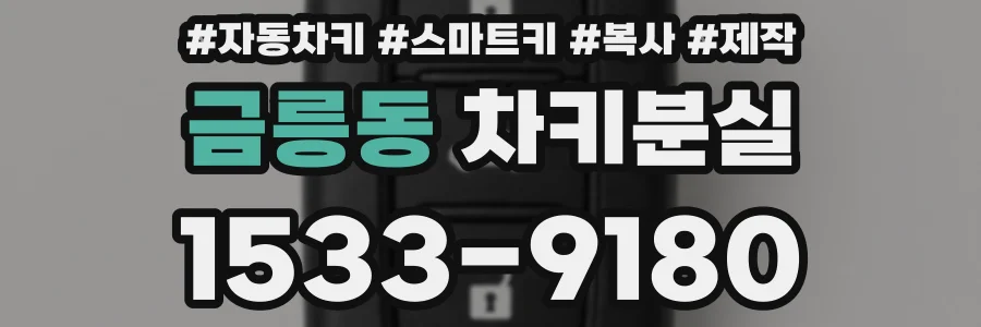 금릉동 차키분실