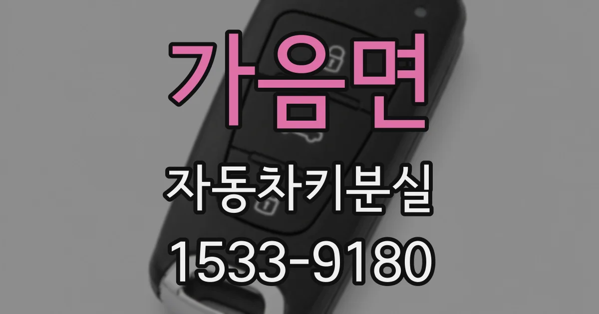 가음면 자동차키분실