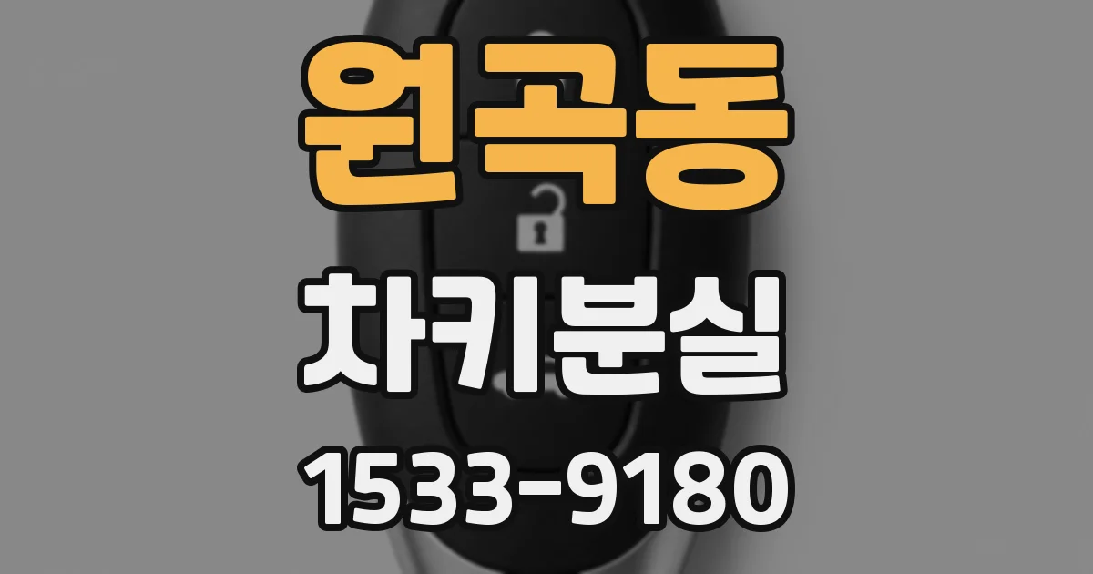 원곡동 차키분실