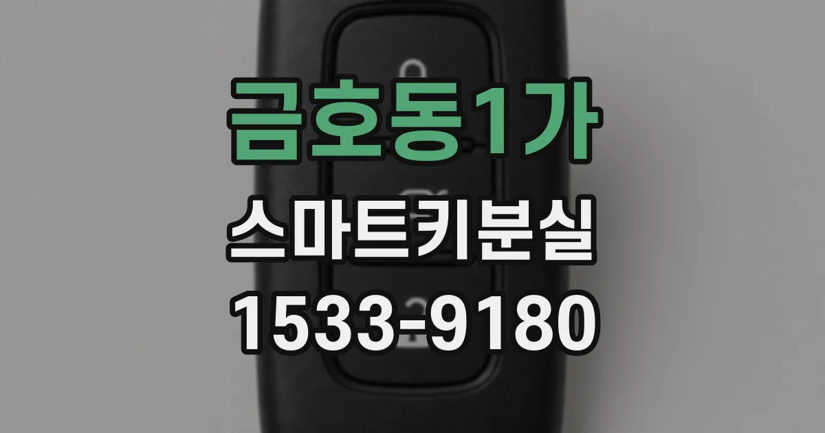 금호동1가 스마트키분실
