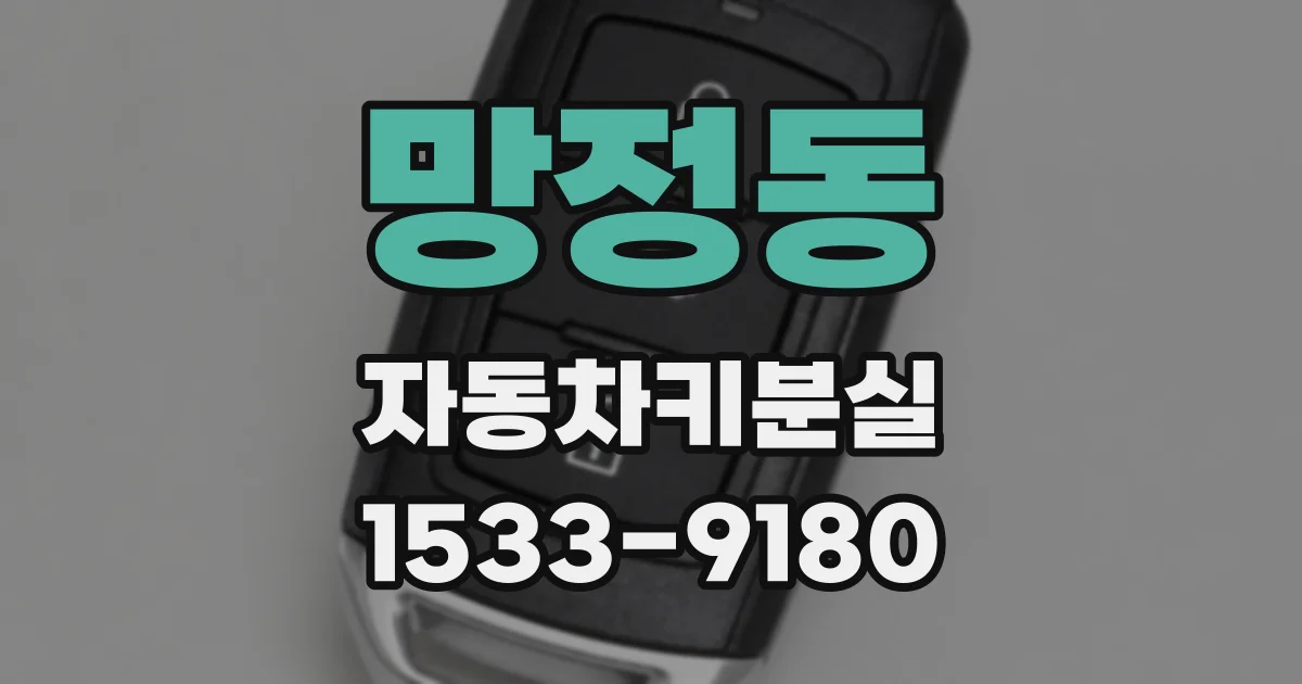 망정동 자동차키분실