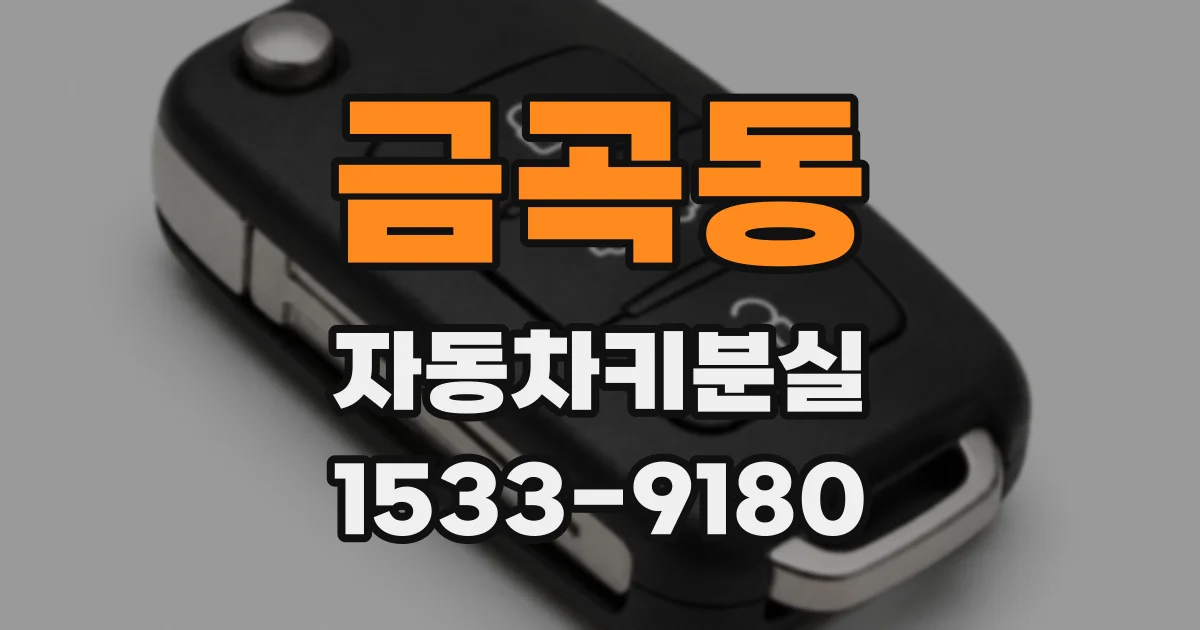 금곡동 자동차키분실