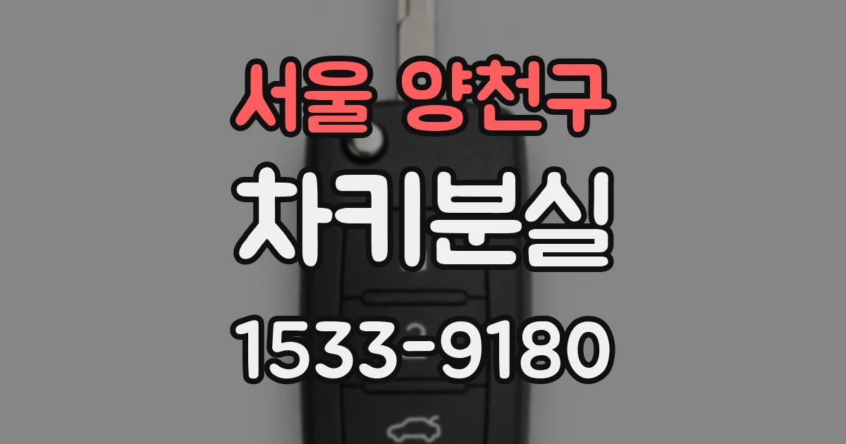 서울 양천구 차키분실