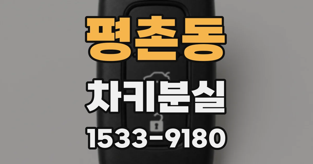 평촌동 차키분실