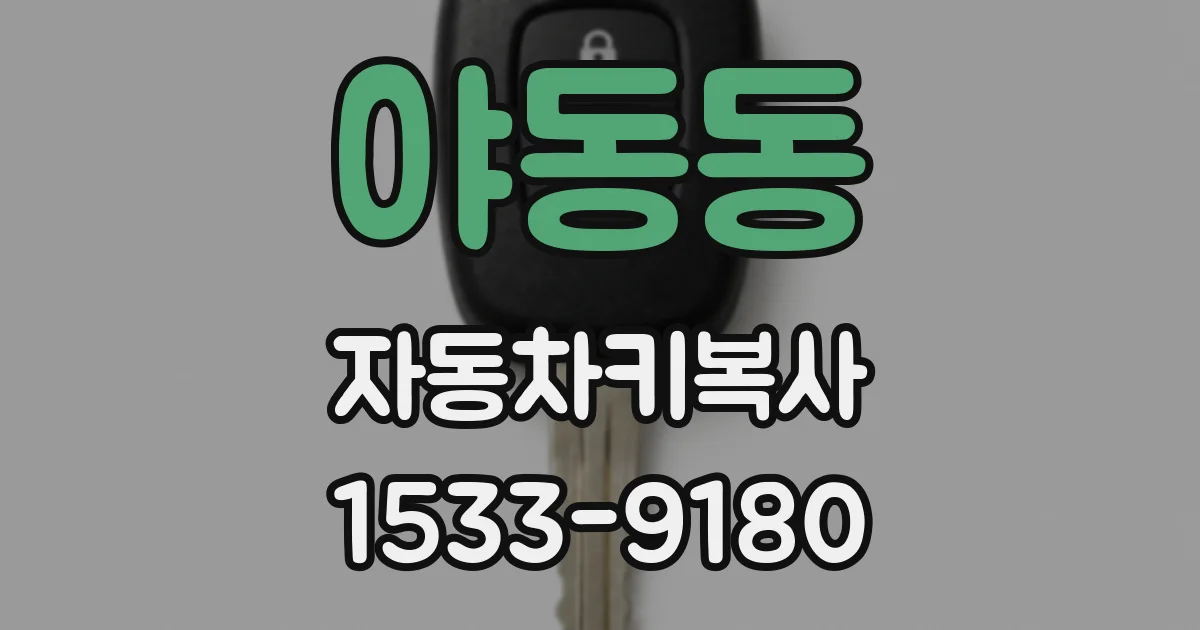야동동 자동차키복사