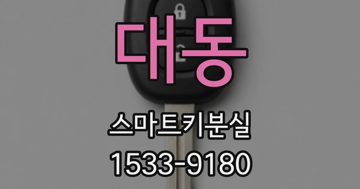 대동 스마트키분실