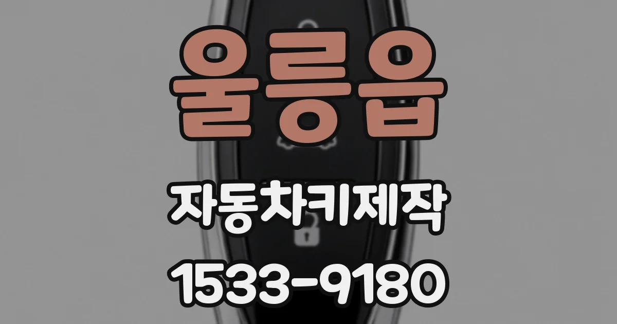 울릉읍 자동차키제작