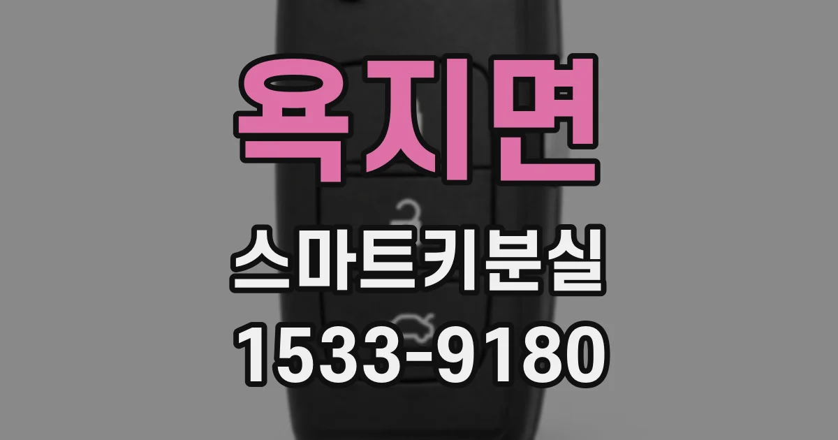 욕지면 스마트키분실
