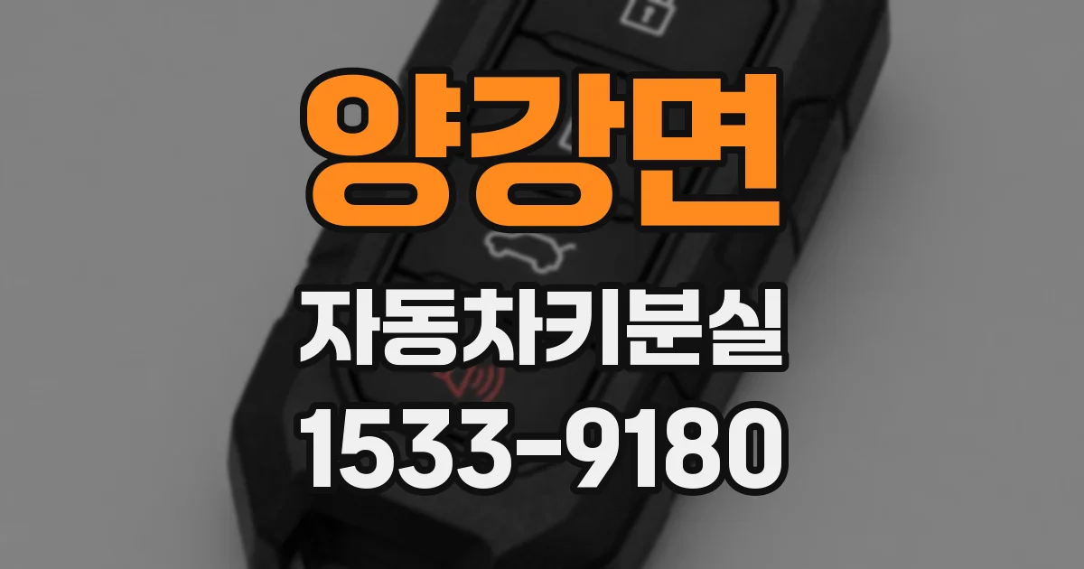 양강면 자동차키분실