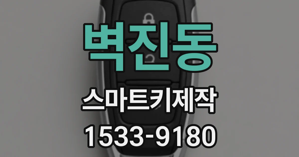 벽진동 스마트키제작