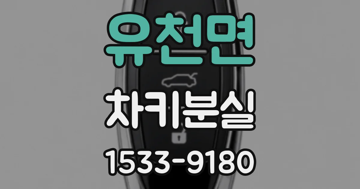 유천면 차키분실