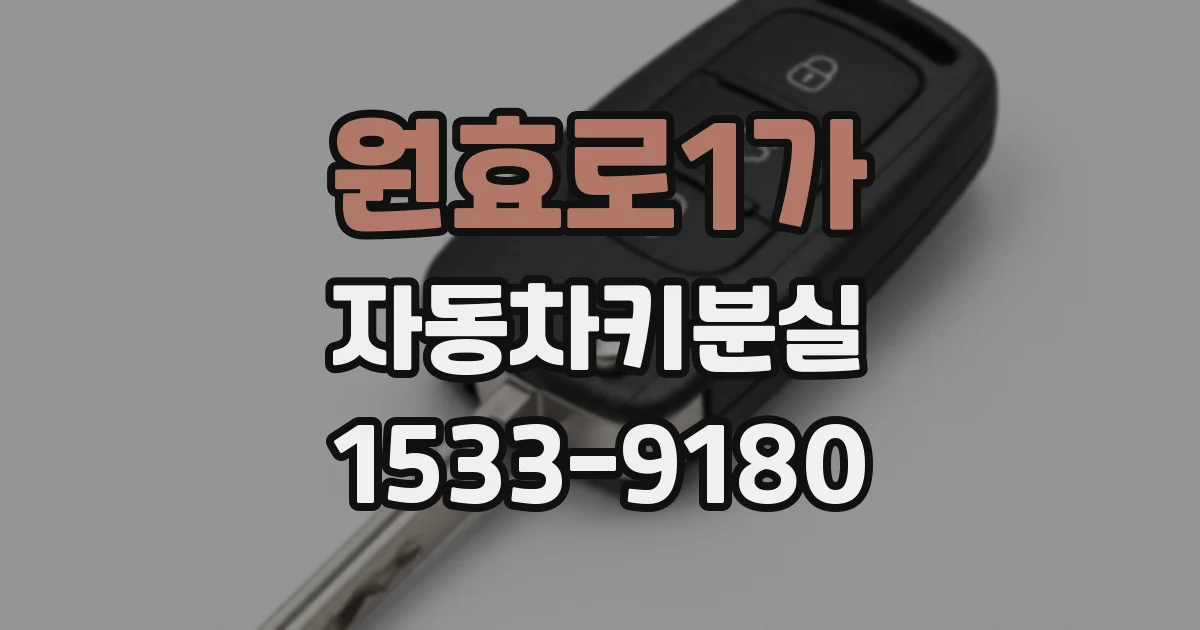원효로1가 자동차키분실
