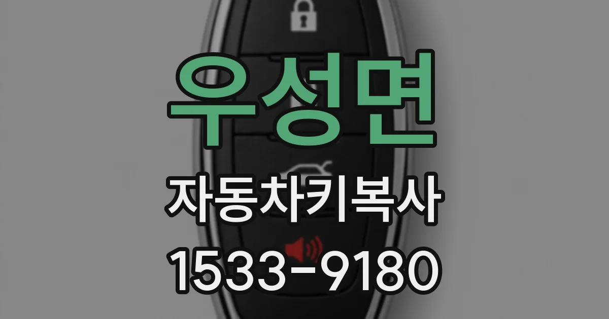 우성면 자동차키복사