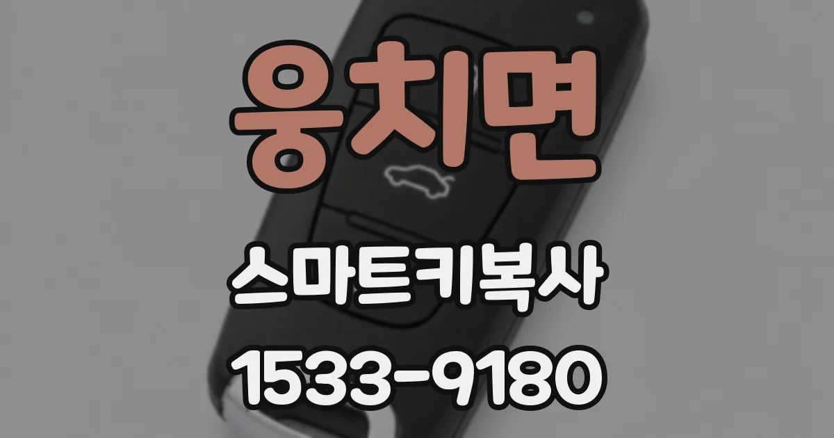웅치면 스마트키복사