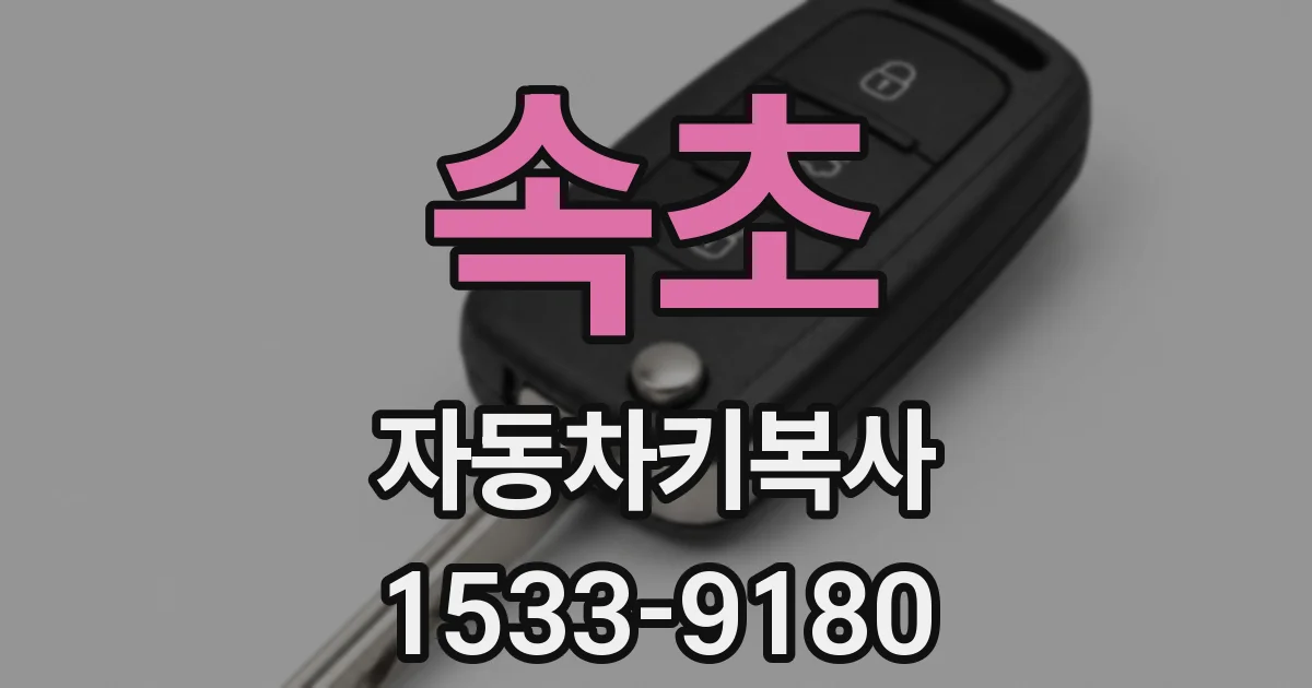 속초 자동차키복사