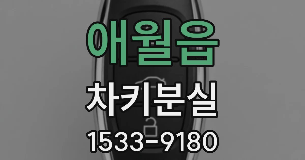 애월읍 차키분실