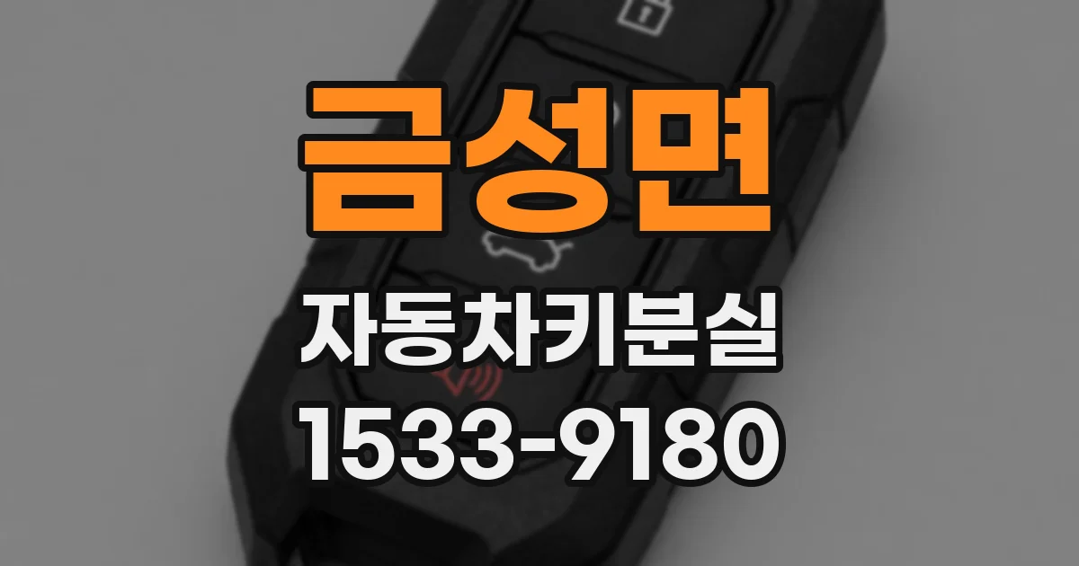 금성면 자동차키분실
