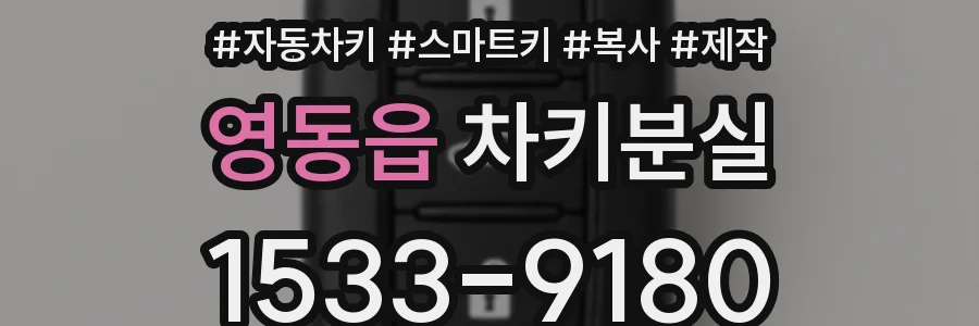 영동읍 차키분실