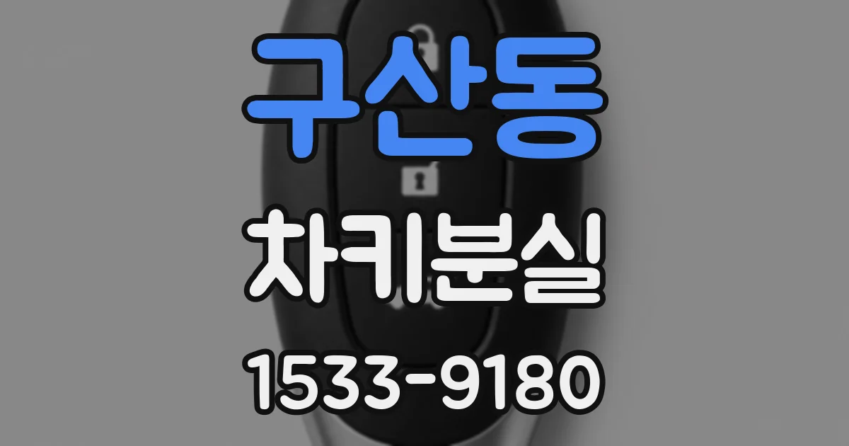 구산동 차키분실