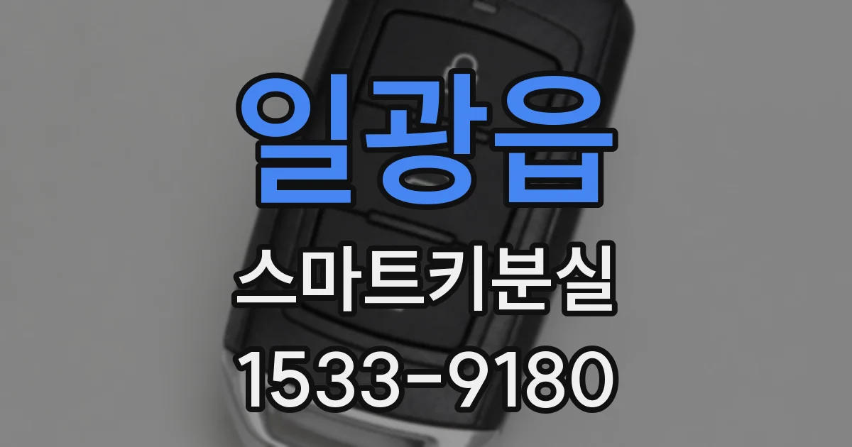 일광읍 스마트키분실