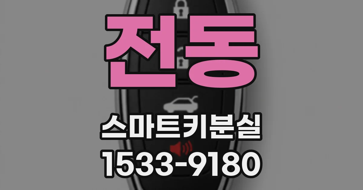 전동 스마트키분실