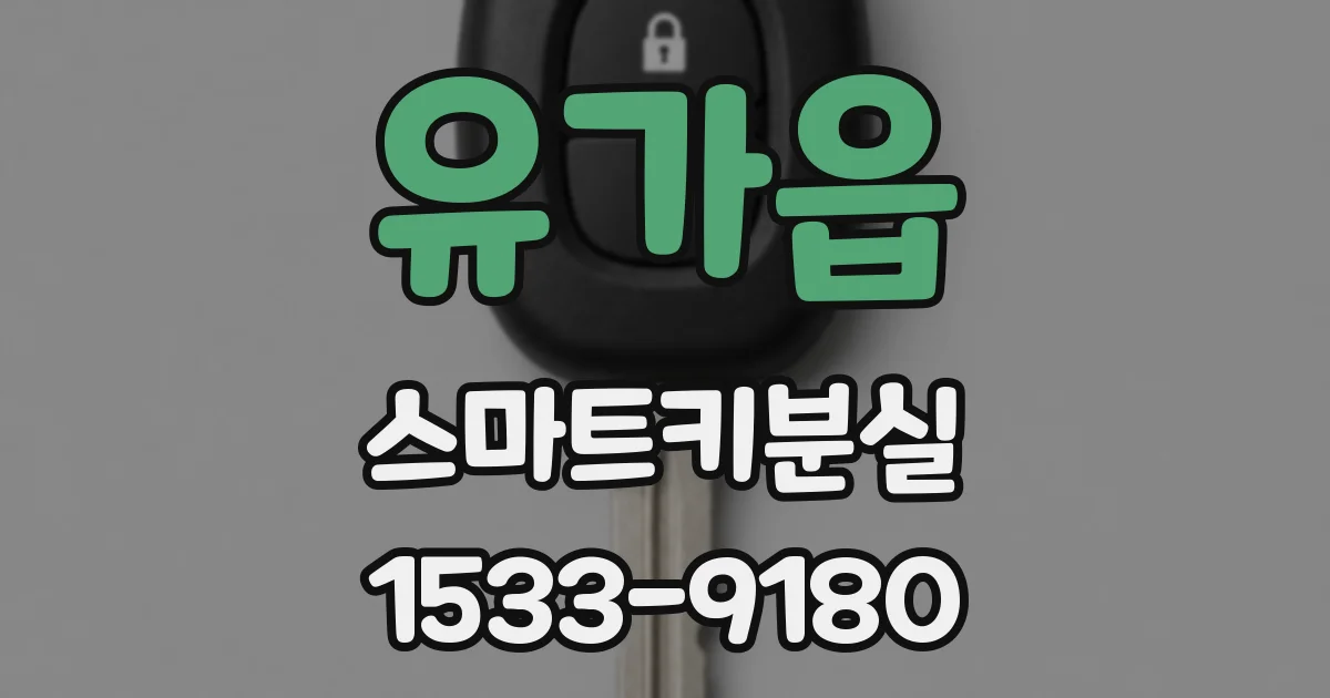 유가읍 스마트키분실