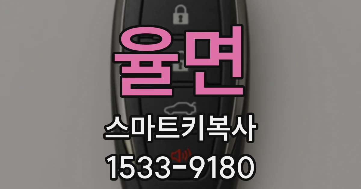 율면 스마트키복사
