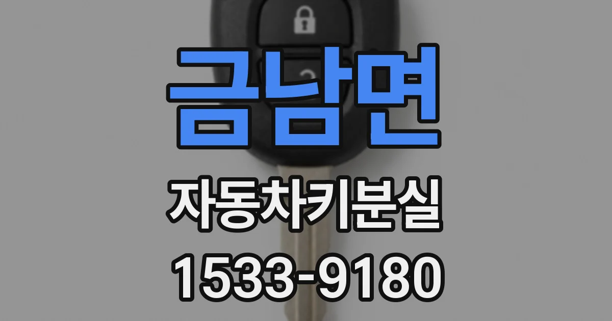 금남면 자동차키분실