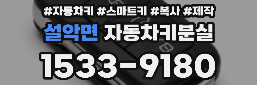 설악면 자동차키분실