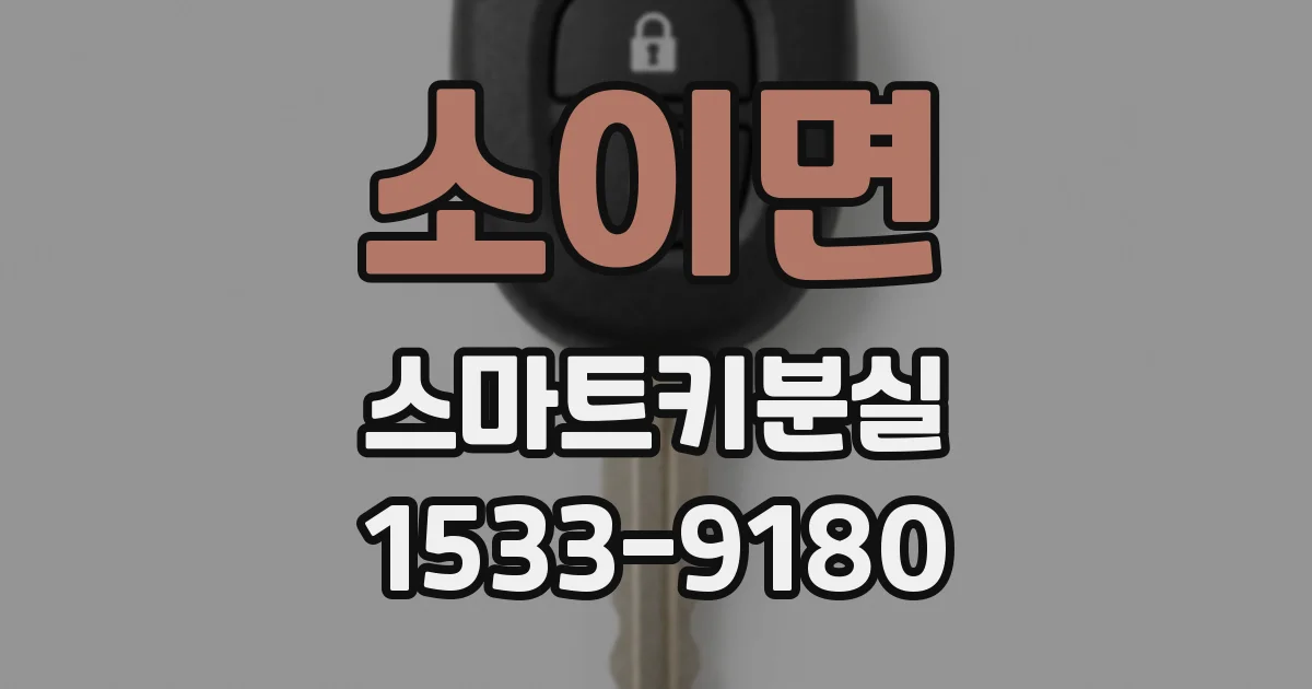 소이면 스마트키분실